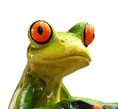 frog
